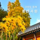 용산서원학규현판 | 동해 용산서원 은행나무 가을 풍경 강원도 가볼만한곳