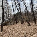 도구머리공원 이미지