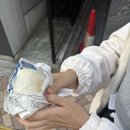 [일본 도쿄] 휴족시간 면세로 산 바보들