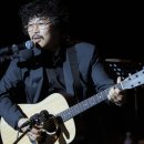 반딧불 프리미엄 이미지