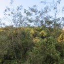 포항시남구49 이미지