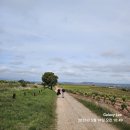 5/16, 17, 18일 산티아고 순례길 6구간( ~Torres del Río) 7구간( ~Logroño) 8구간( ~Nájera) 이미지