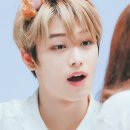 디디디 - 광양시 항만13로 27-8 | 디디디