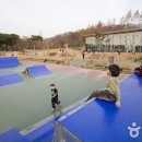 일자산 자연공원 이미지