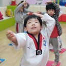 짱태권도 이미지