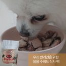 봄봄 수비드 식사팩으로 챙기는 강아지화식추천! 봄봄코리아,우리 아이 건강 보양식 후기