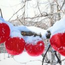 바람결-시간의 흐름 이미지