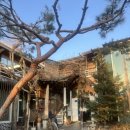 수락산 편백원 이미지