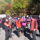 선녀계곡 이미지