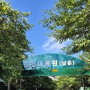 첨벙 발담그기 좋은 인천대공원 개울숲 소개합니다! 이미지