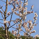 느므즈므 이미지