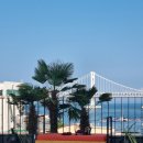 애프터챕터(AFTER CHAPTER) 이미지