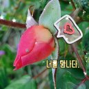 너를 만나다 이미지