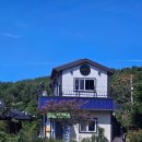 유자나무펜션 이미지