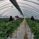 이루리농장 이미지