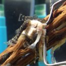 조은사료 이미지