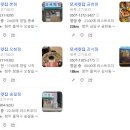 [청주] 뒷고기 맛집 모서릿집 강서점 내돈내산 방문후기