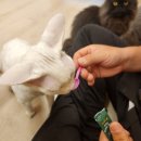 키라빌딩 이미지