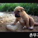 나스정형외과의원 네이버블로그