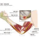 경희동서한의원 이미지