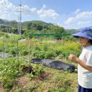 박혜정농장 | [후기] 6월 지구농부 한 접시