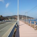 해파랑길(제23구간) Daum카페