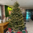 양산주민편익시설 청소년열람실 | 양산 주민편익시설 양산 운동하기 좋은 곳 수영 헬스 요가 등