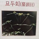 이엽한의원 이미지