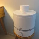 한글 지혜반-3단계(심화) | 12월 소비 일기 💸