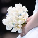 비올뷰티 | W8-1. 대전 팔레드오페라 본식 후기(비올뷰티, 드에르웨딩, 경미헬퍼님, 오승택 사회자님, 리허설)