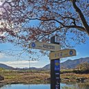 송집수효자각 이미지