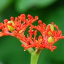 산호유통 이미지