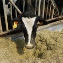 장원축산 이미지