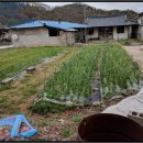 합천군삼가면동리보건진료소 이미지