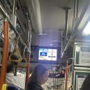 에이치트레솔 | 240910-12 케언즈에서 도쿄로 ! / 도쿄 2박 3일 ✈️, 공항에 한시간 전에 도착해서 수속한 사람 나야 나