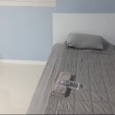 성산에 오거들랑 이미지