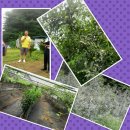 윤선농장 이미지