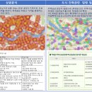 월드그린통상 이미지