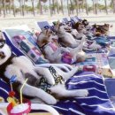 개판살판 이미지