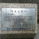 뉴코아사거리 이미지