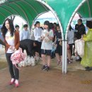 송탄중학교 이미지