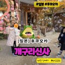 황금개구리 | 일본 후쿠오카 모두투어패키지 개구리신사 이나리 뇨이린지