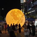 세종달빛 이미지