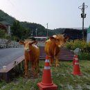 성마루농장 이미지