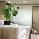 진심안마원 이미지