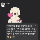 <단기특강 비대면>자기발견의 시작,성장과 치유를 위한 애니어그램 | 유핏토익 900점 후기 비대면토익 직장인토익