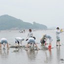 6월 정기여행 (고사포 조개잡이) 이미지