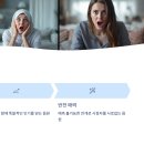 영상공방 단풍