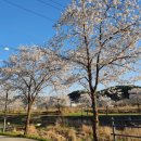 경안천 운학동 이미지