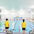 구청장배 수영대회 이미지